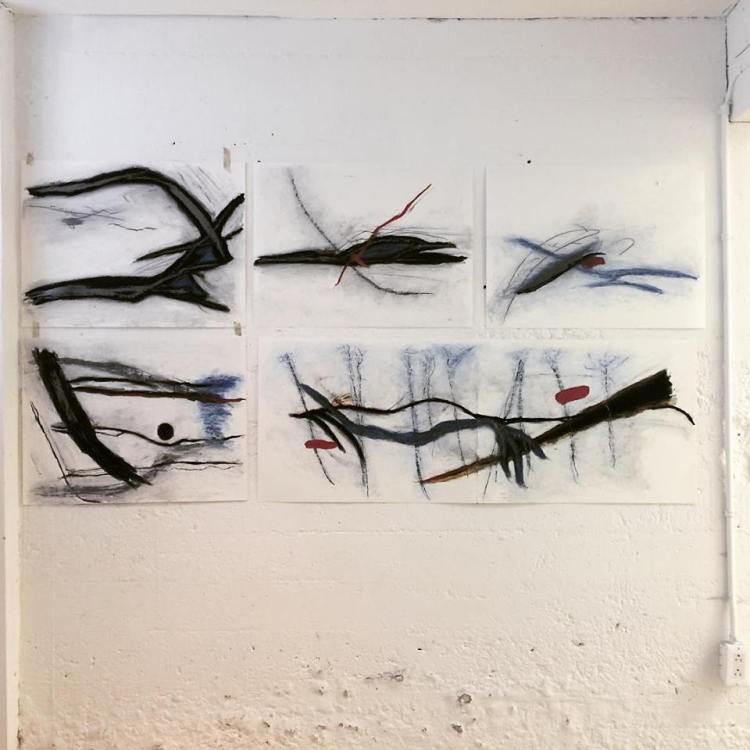 23915829_10155826717240050_5925092588076274876_n