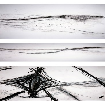 Extraits-voir-dans-le-vent_carré